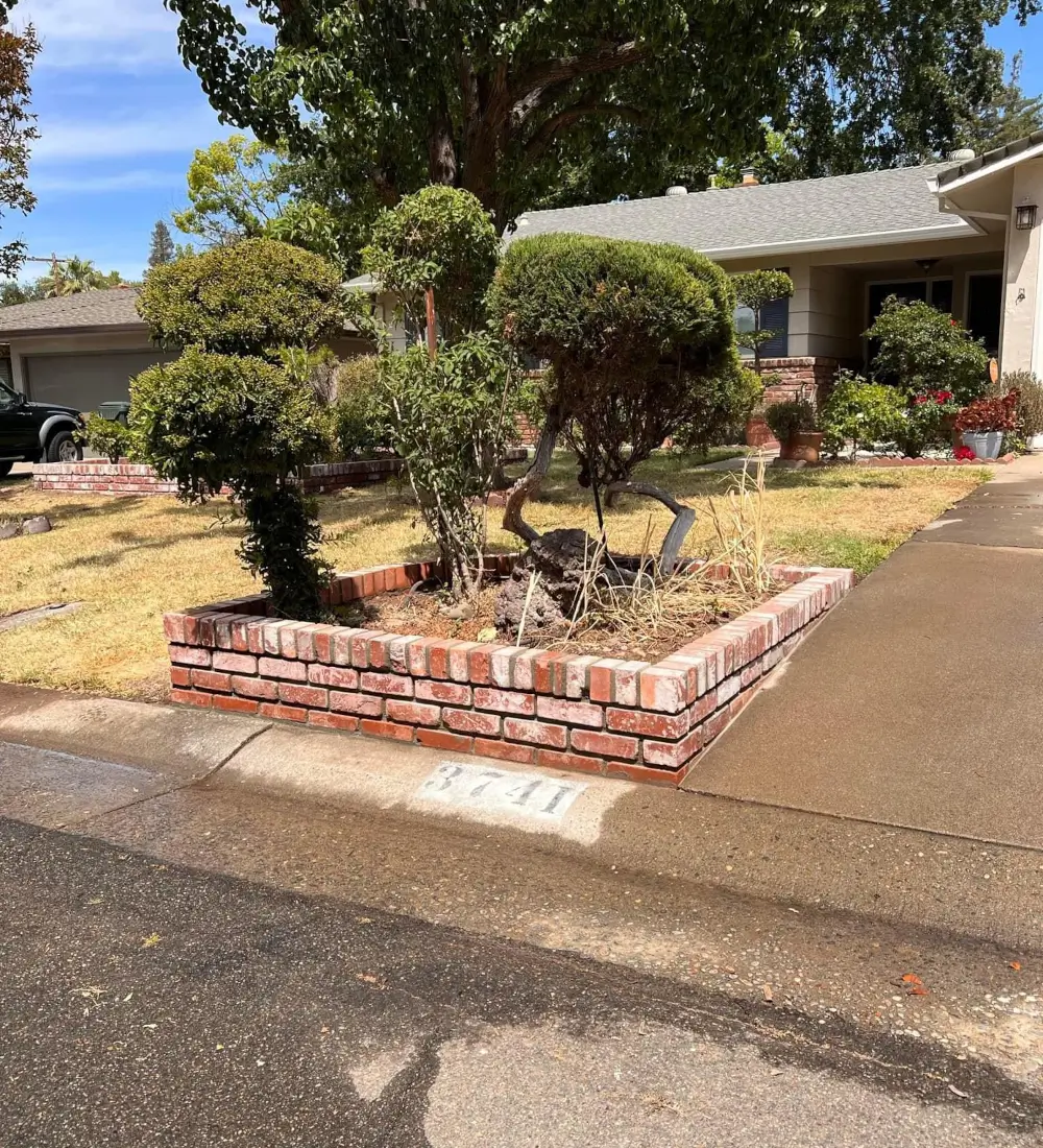 Retaining Wall
